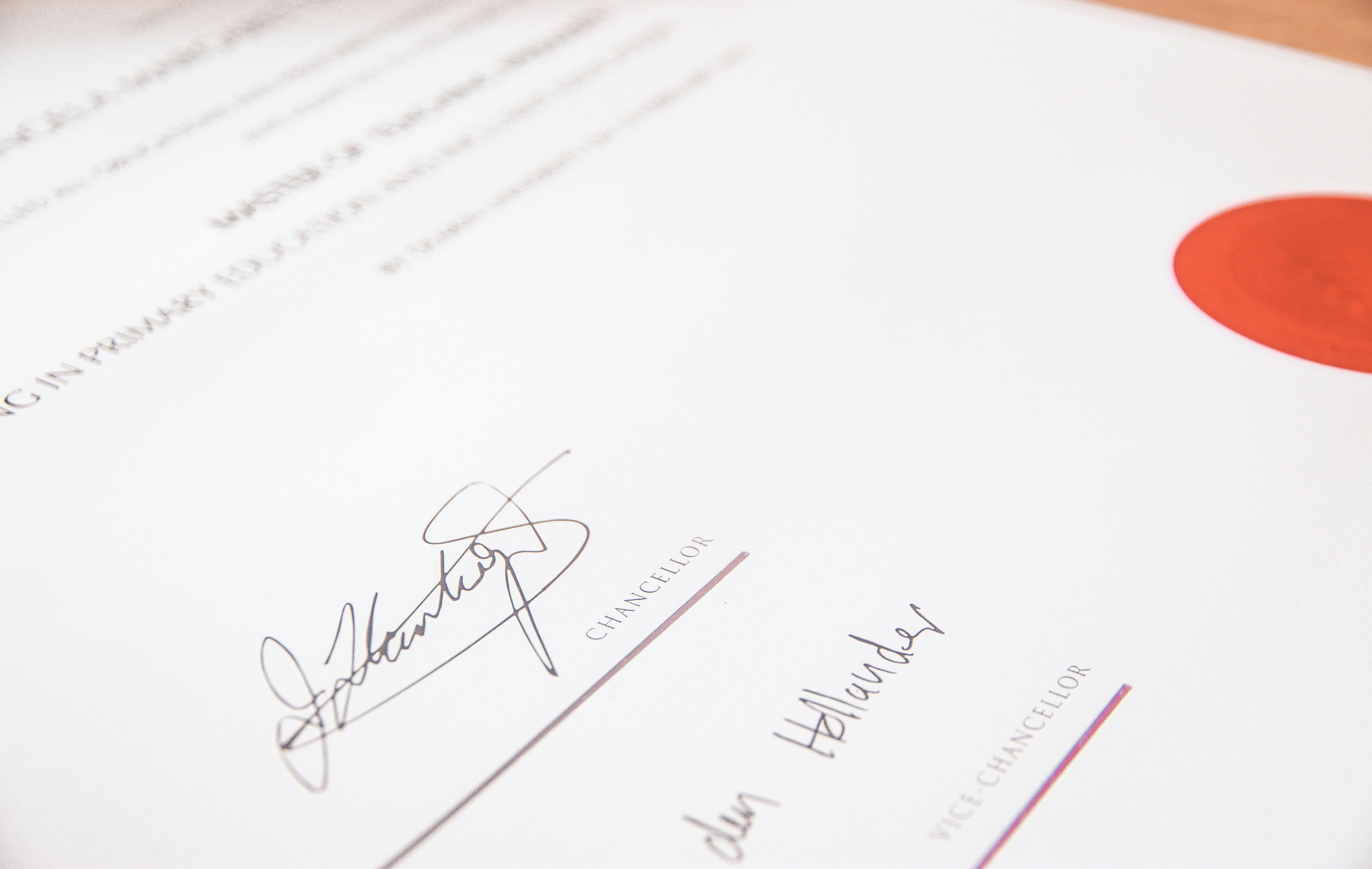 Professional reviewing certification options and career path documents