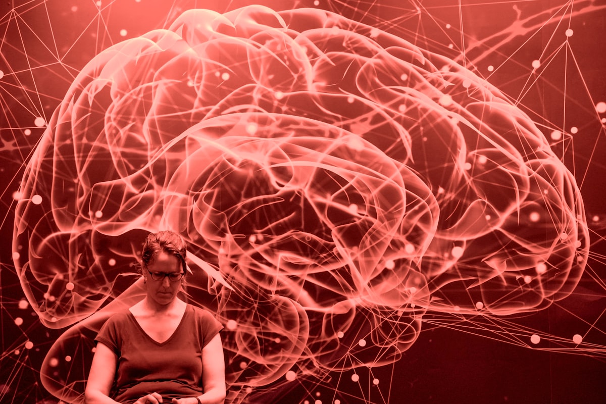 Abstract brain network representing elaborative connections in memory