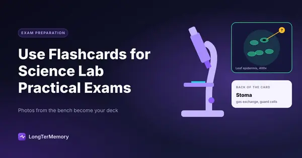 Cover: a microscope, a leaf epidermis photo with a stoma pointed out, and the back of the flashcard