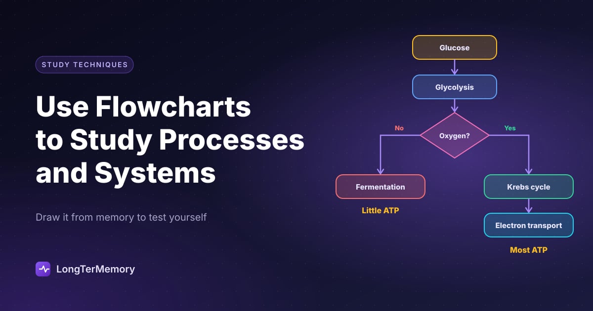 Student drawing a flowchart on paper to study a complex process
