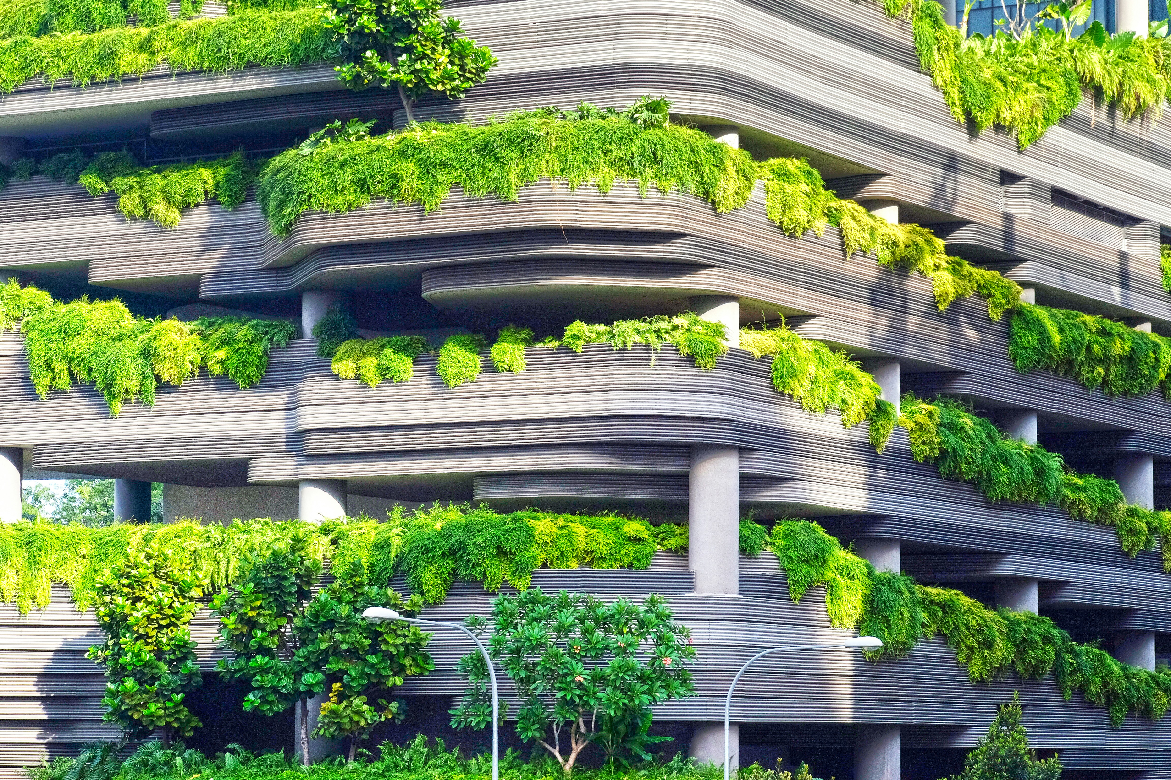 Green building with trees and sustainable architecture