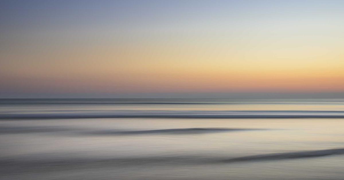 Law student studying legal cases and statutes