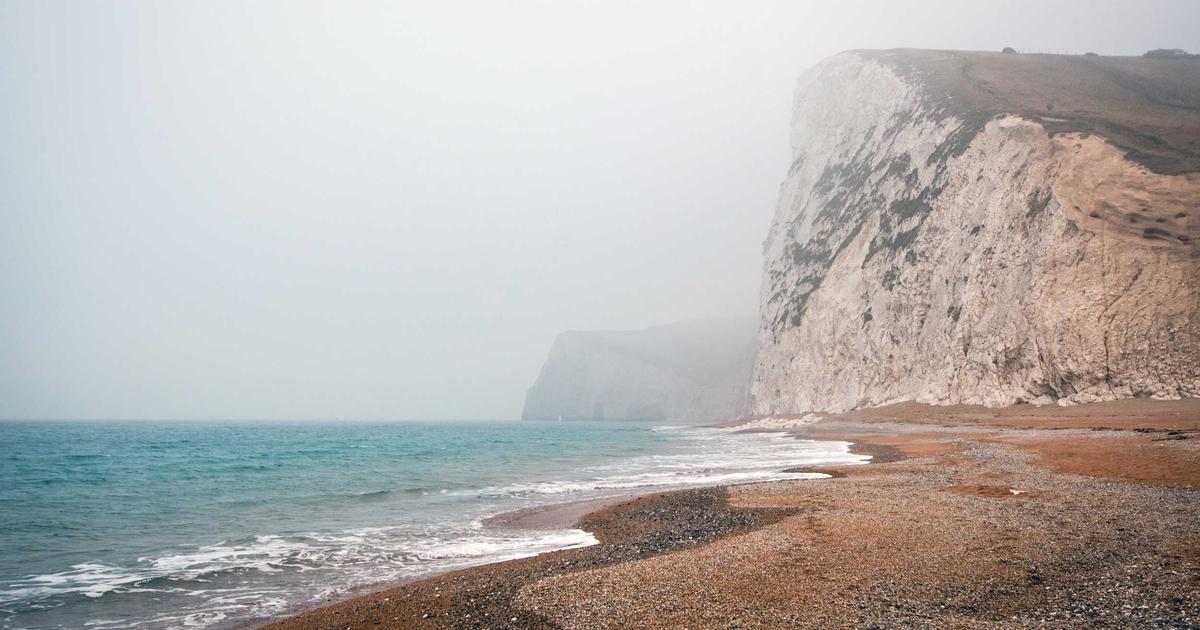 Medical student studying anatomy diagrams and terminology