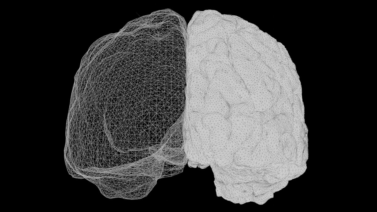 3D wireframe visualization of a human brain representing neurological study
