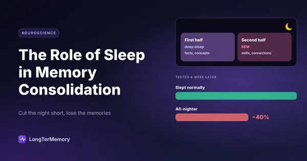 Cover: deep sleep in the first half of the night and REM in the second, and an all-nighter group doing 40% worse a week later