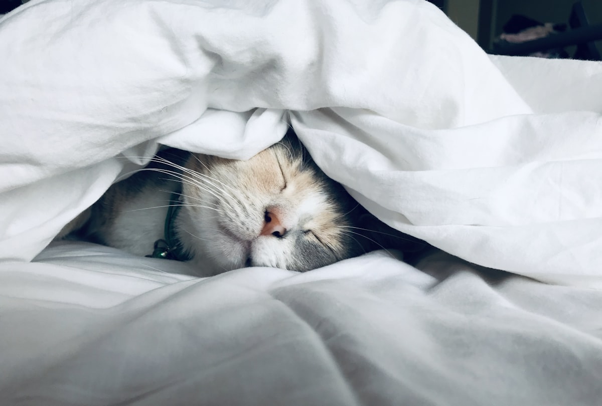 Person sleeping peacefully, representing memory consolidation during sleep