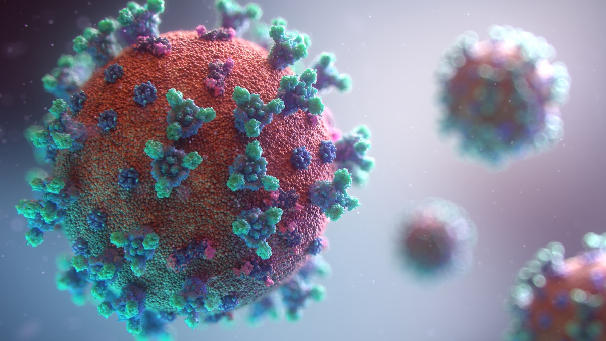 Medical study visualization for pathology preparation