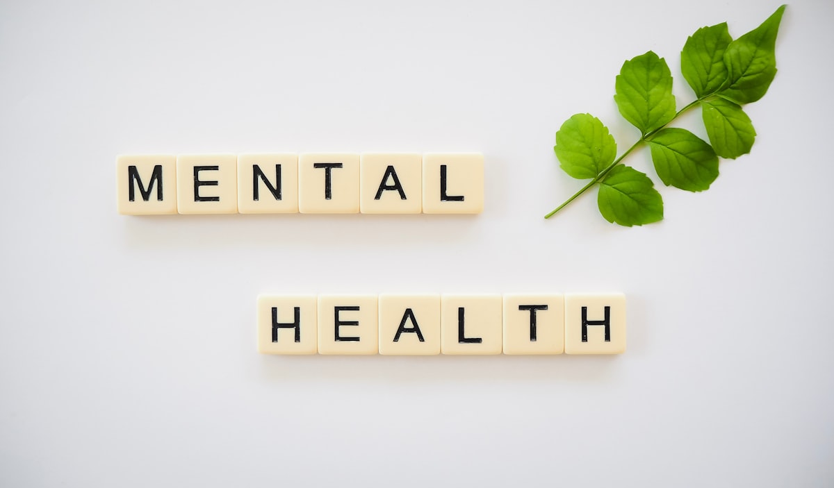 Mental health and resilience concept with green plant representing growth and recovery