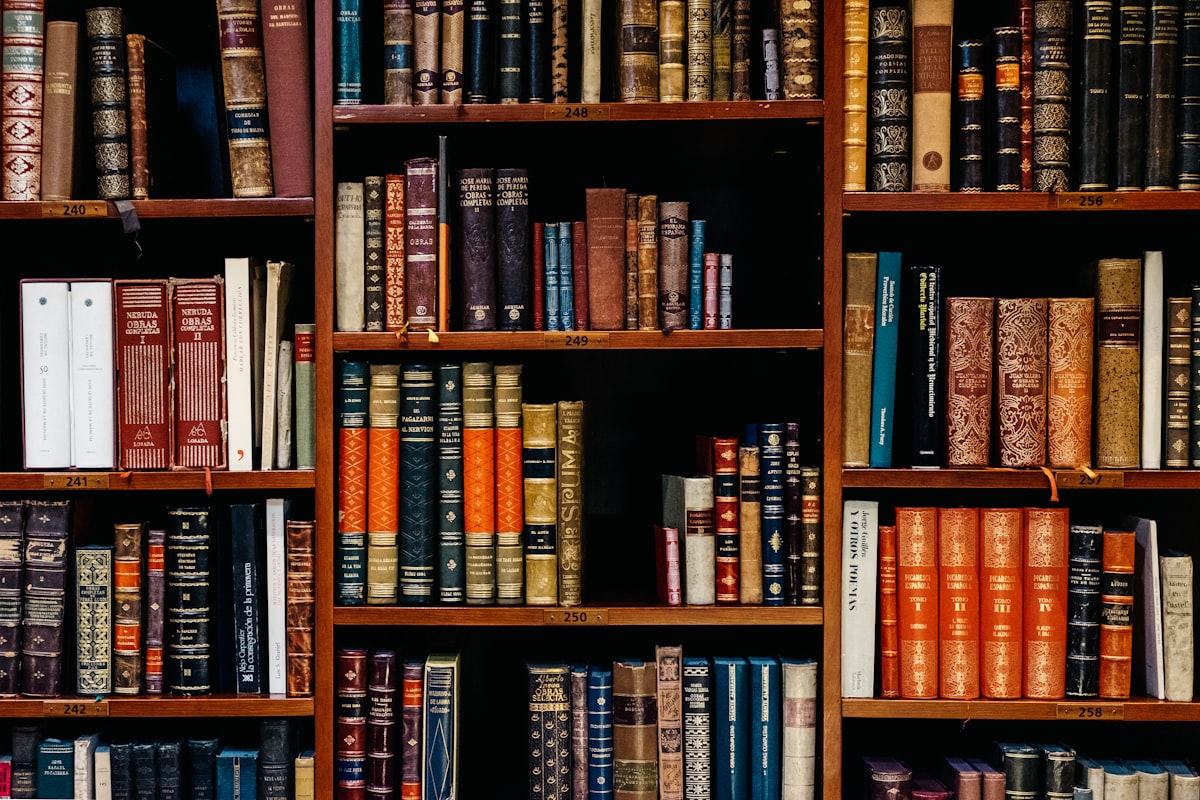Rows of books on library shelves representing organized academic references